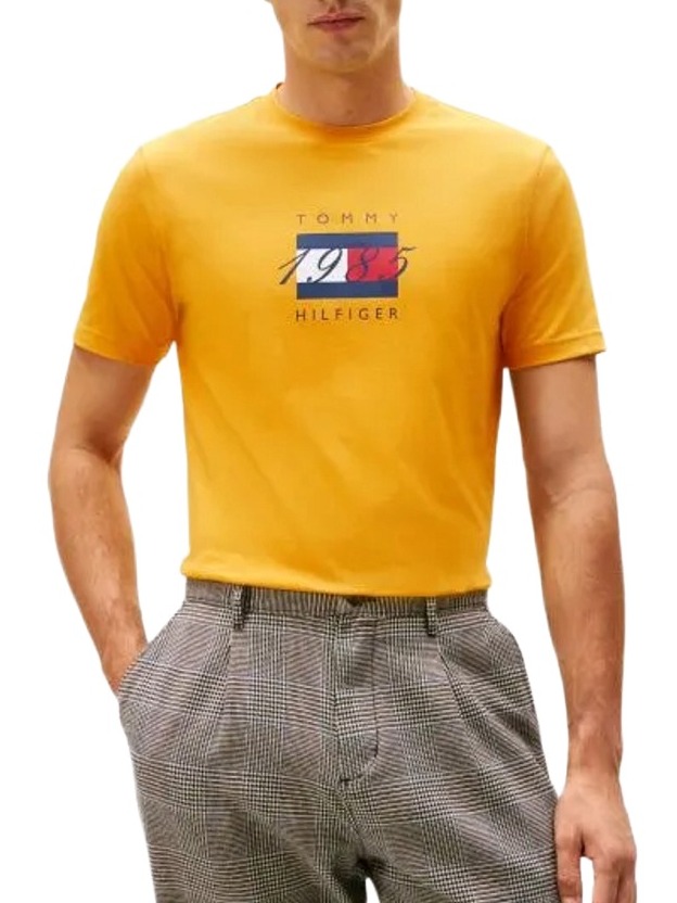 Ανδρικό T-shirt Κίτρινο Tommy Hilfiger MW0MW41338-ZF4
