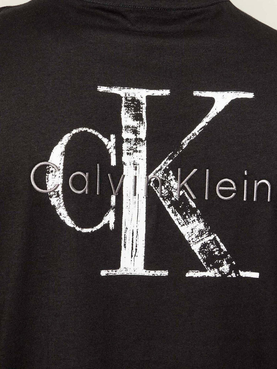 Ανδρικό T-shirt Μαύρο Calvin Klein LV04RH846G-UB1