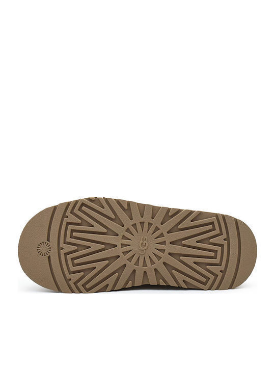 Γυναικείες Tazzelle Παντόφλες Ταμπά UGG 1171393-CHE