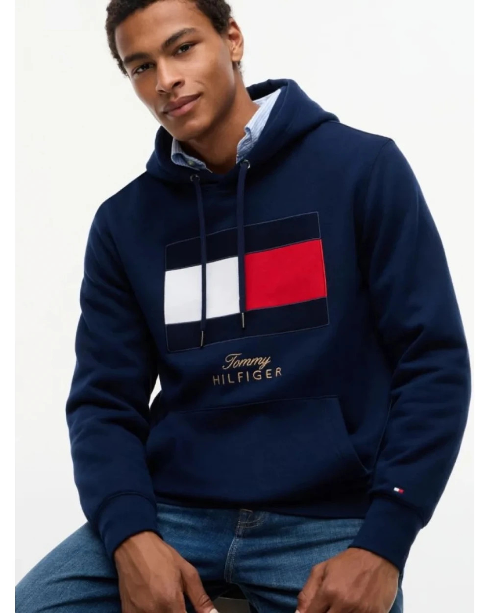 Ανδρικό Φούτερ Μπλε Tommy Hilfiger MW0MW45189-DCC