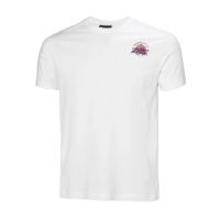 Ανδρικό Core Graphic T-shirt 2.0 Λευκό Helly Hansen 54599-002