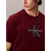 Ανδρικό Hero Monologo T-shirt Μπορντό Calvin Klein LV04RB862G-VLP