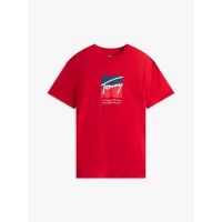 Ανδρικό T-shirt Κόκκινο Tommy Jeans DM0DM21940-XLE