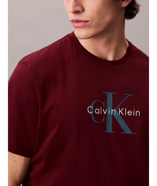 Ανδρικό Hero Monologo T-shirt Μπορντό Calvin Klein LV04RB862G-VLP