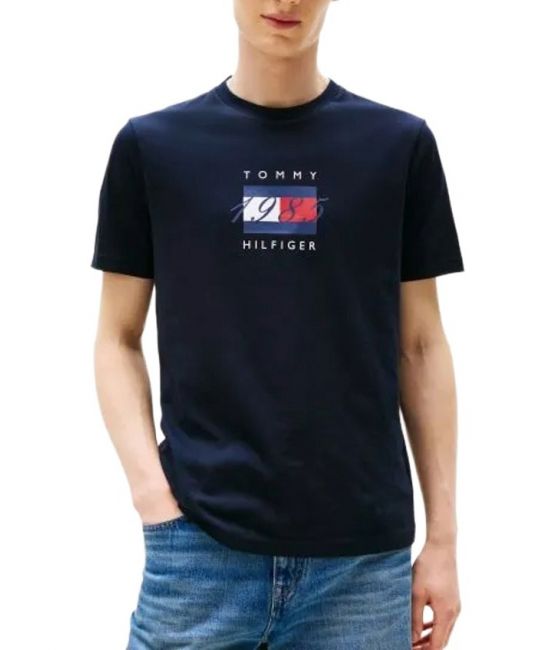 Ανδρικό T-shirt Navy Μπλε Tommy Hilfiger MW0MW41338-DW5