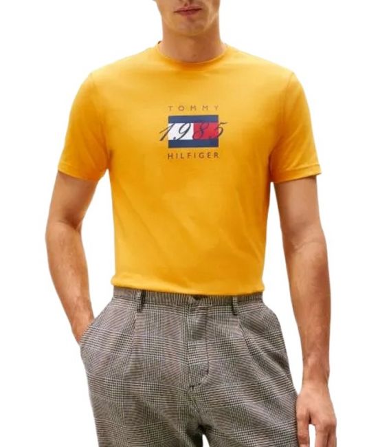 Ανδρικό T-shirt Κίτρινο Tommy Hilfiger MW0MW41338-ZF4