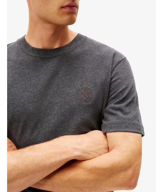 Ανδρικό T-shirt Γκρι Tommy Hilfiger MW0MW40019-P98