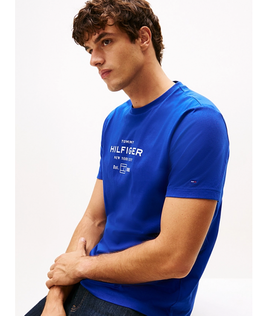 Ανδρικό T-shirt Μπλε Tommy Hilfiger MW0MW40002-D03