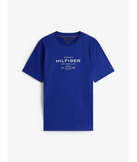 Ανδρικό T-shirt Μπλε Tommy Hilfiger MW0MW40002-D03