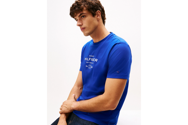 Ανδρικό T-shirt Μπλε Tommy Hilfiger MW0MW40002-D03