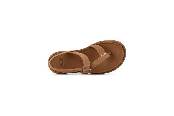 Γυναικεία GoldenGaze Toe Post Σανδάλια Ταμπά UGG 1175134-CHE