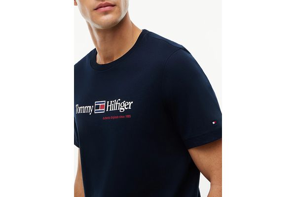 Ανδρικό T-shirt Navy Μπλε Tommy Hilfiger MW0MW44875-DW5