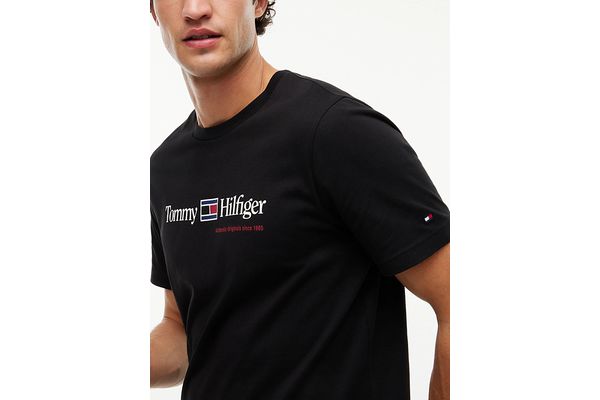 Ανδρικό T-shirt Μαύρο Tommy Hilfiger MW0MW44875-BDS
